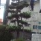 120927_093849.jpg