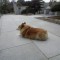 DSC_0071.jpg