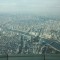 DSC_0126.jpg