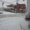 DSC_0136.jpg