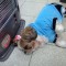 DSC_0150.jpg