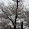 DSC_0200.jpg