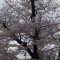 DSC_0205.jpg