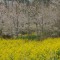 DSC_0208.jpg