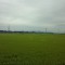 DSC_0387.jpg
