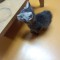 DSC_0416.jpg