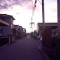 DSC_0462.jpg
