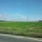 DSC_0492.jpg