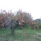 DSC_0513.jpg