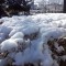 DSC_0672.jpg