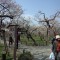 DSC_0694.jpg