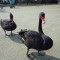 DSC_0699.jpg