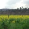 DSC_0716.jpg