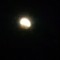 DSC_0942.jpg