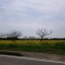 DSC_1205.jpg